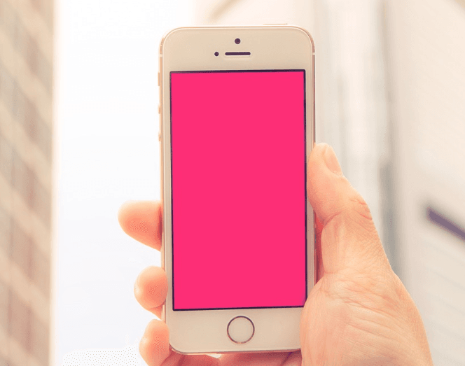 【すみっコスマホ徹底比較！】ワイド（新）と旧モデルの違いは？どっちを選ぶべきかパパが解説！