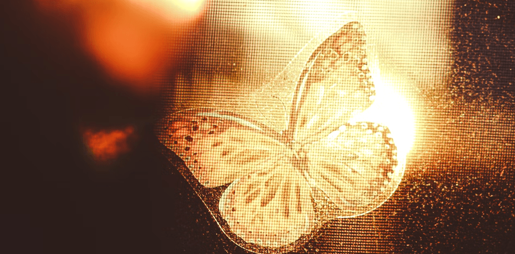 【スクラッチアートとは？】“削る塗り絵”で心が整う！ダイソーで始めるやり方とおすすめ人気作品4選