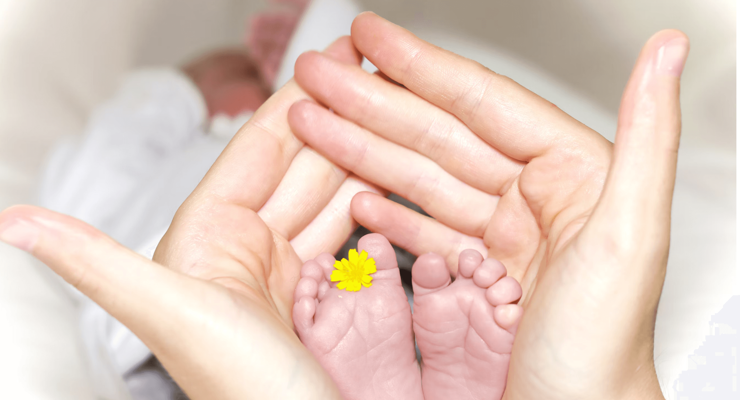 【会陰マッサージオイルおすすめ】“会陰切開”の恐怖と戦う！私が選んだ最強オイルとやり方