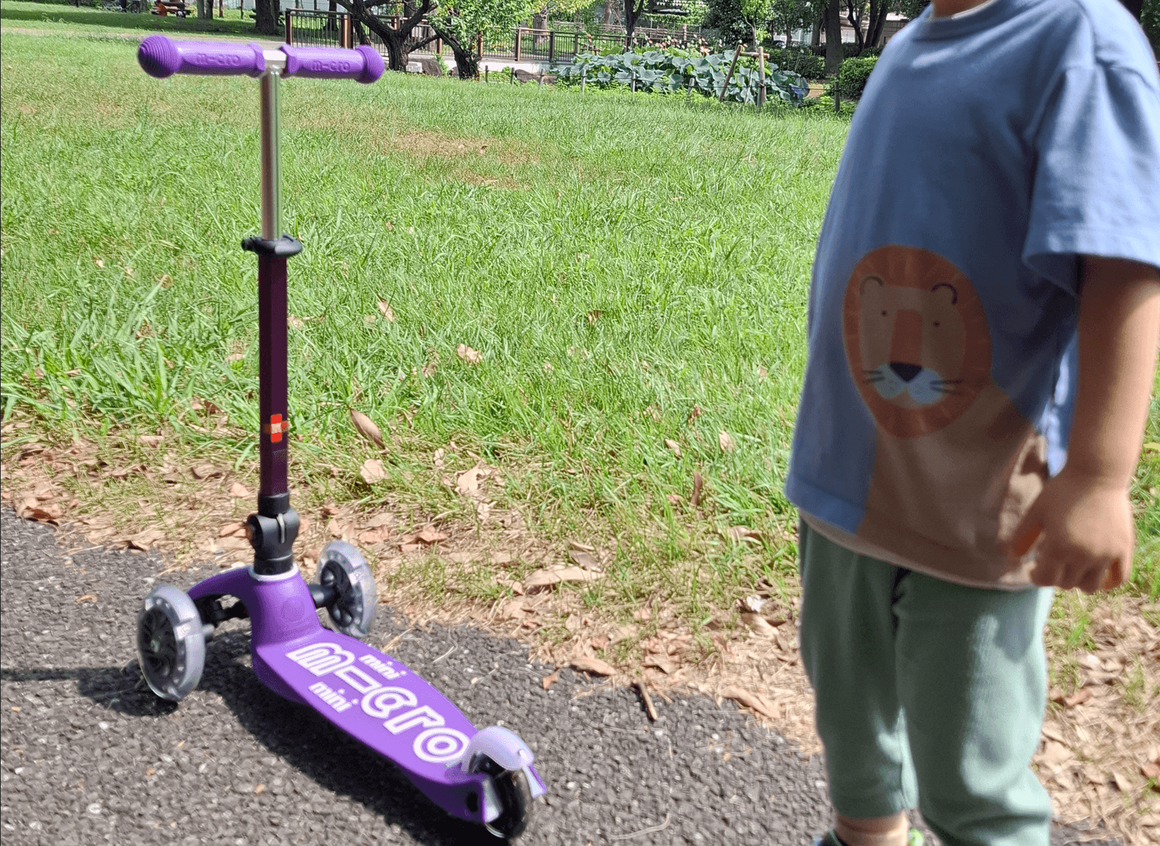 【3歳からのキックボード】三輪車よりマイクロスクーターが正解な理由｜3輪モデルを正直レビュー