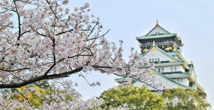 日本ってどんな国？面白い文化と歴史の物語を、パパが世界一やさしく解説！【子供と学ぶ】