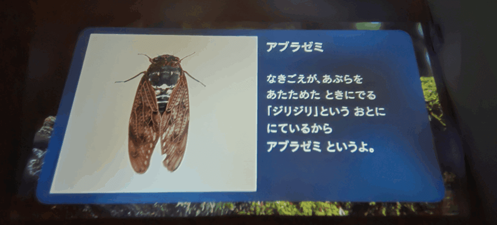 Astrumコンテンツ③ ずかん（図鑑）の実際の画像