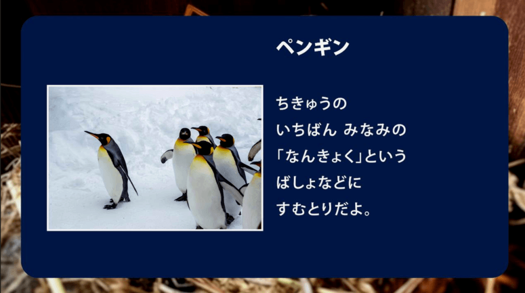 6歳～低学年】動く図鑑で「探究心」を育てるのに使えるコンテンツの画像